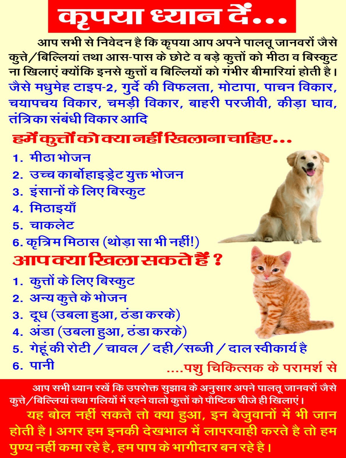 WhatsApp Image 2023-07-28 at 3.53.32 PM