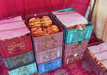 Red and blue crates with pink covers full of bananas on a colorful rug