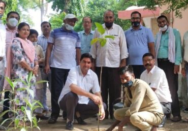 Jan Sewa Trust-NGO team planting tree with volunteers in garden